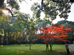 -叶叶菩提·晋福宫