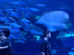 -成都浩海立方海洋公园