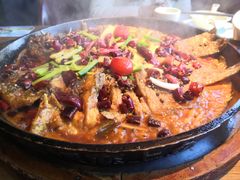 -老板恋上鱼(印象城店)