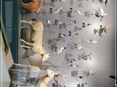 -中国湿地博物馆