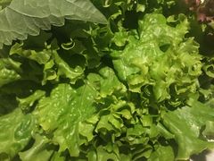 -萨拉伯尔水源素问店·韩国宫廷料理(人民路店)