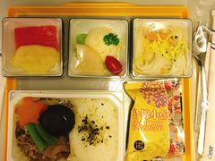 -全日本空输株式会社(上海办事处)