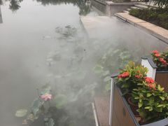 -湘湖金融镇