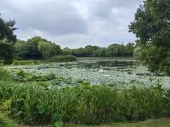 -无锡蠡湖国家湿地公园-蠡园