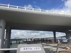 -演武大桥观景平台