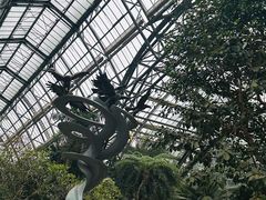 -南山植物园