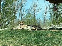 -北京野生动物园