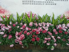 -汇龙潭