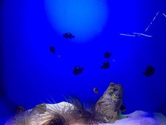 -左海海底世界