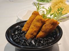 -丁老爷子苏香圆