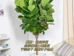 -京东家装(昆明总店)