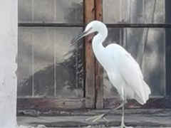 -衣裳街历史文化街区