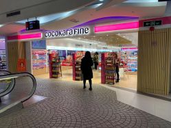 -cocokarafine可开嘉来
