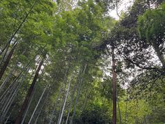 -敬亭山风景名胜区