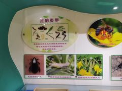 -上海昆虫博物馆