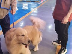 -FAELING PETS美天灵宠物(富力广场店)