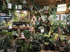 -Rabbit Cafe私房西餐甜点咖啡(栖霞路店)