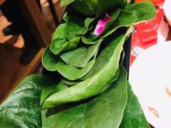 -刘一锅筋头巴脑(小北店)