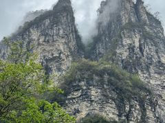 -鹿院坪生态旅游景区