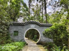 -水濂山森林公园