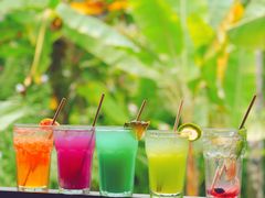 -植物园哈利亚餐厅