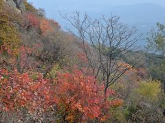 -香山公园