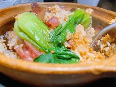 -熠盛粤味·顺德桑拿鸡(永康路店)