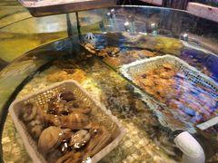 -珍宝轩海鲜火锅(碧湖大厦店)