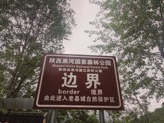 -黑河国家森林公园