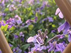 -白塘生态植物园