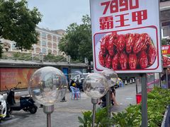 -7890+霸王甲·甲鱼爱尚蛙(坪洲店)