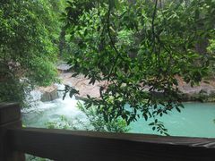 -广州白江湖森林公园