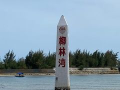 -东郊椰林