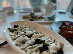 云耳蒸石斑-广州塔晖粤轩中餐厅