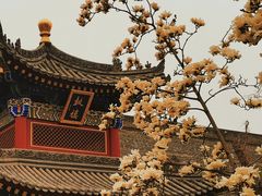 -西安市广仁寺