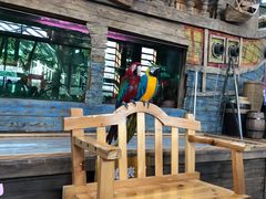 -南宫五洲植物乐园