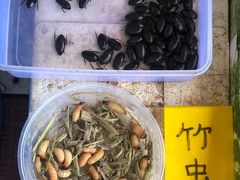 竹虫-崖口红树林海鲜餐厅