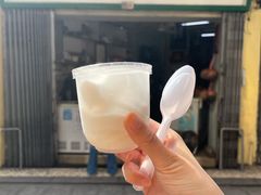 -洪馨椰子