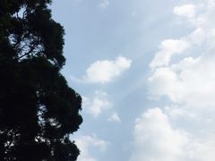 -南丫岛