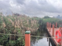 -芒洲湿地公园
