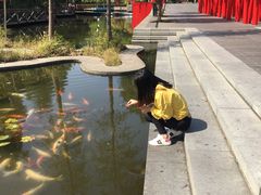 -东部华侨城