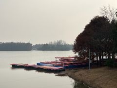 -上海海湾国家森林公园