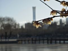-中国农业博物馆