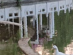 -丰台花园