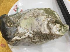 -蚝专家(北滘店)