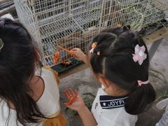 -马陆小张葡萄园农家乐