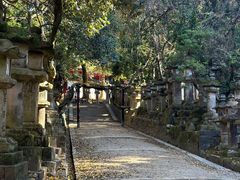-奈良公园