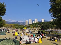 -牛岗山公园