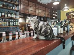 -咖法森林·咖啡  酒吧(天河店)