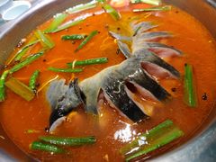-亮欢寨快活林 酸汤鱼(仁怀店)